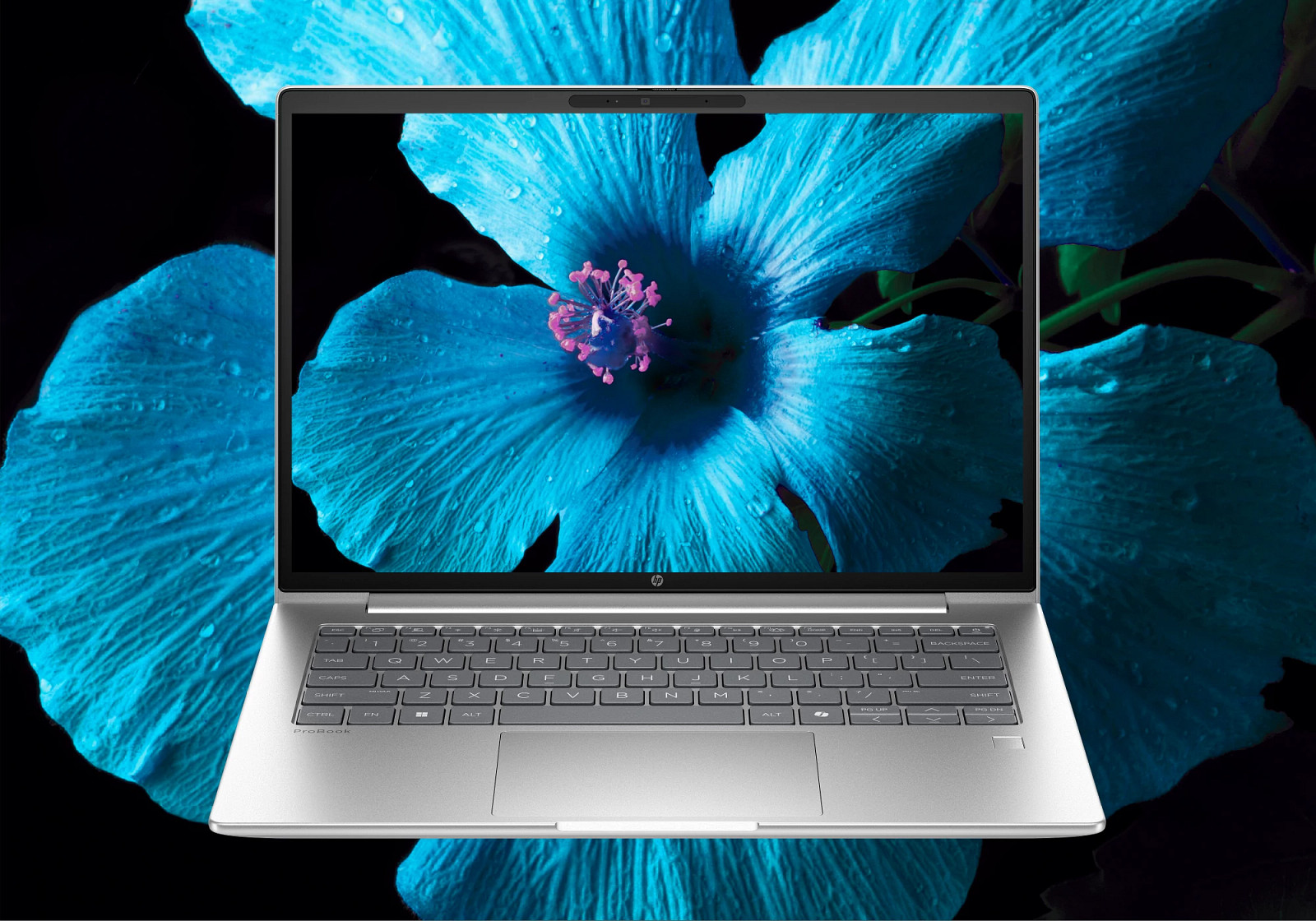 HP ProBook 4 G1a / Ryzen 5 / 16 GB / 512 GB / Radeon Graphics / 14"